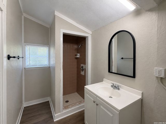 1817 San Luis, San Antonio, TX 78207
