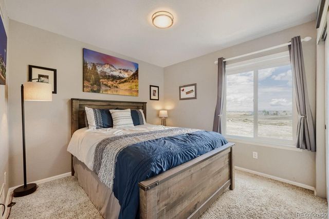 834 S Carlton Street, Castle Rock, CO 80104