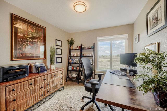 834 S Carlton Street, Castle Rock, CO 80104