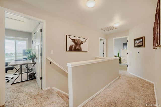 834 S Carlton Street, Castle Rock, CO 80104