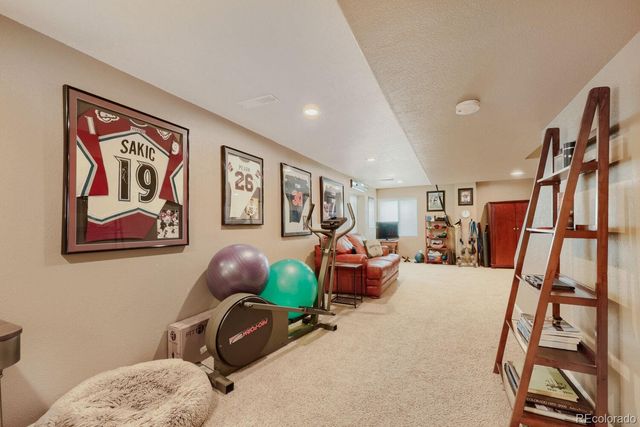 834 S Carlton Street, Castle Rock, CO 80104