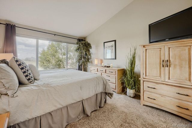 834 S Carlton Street, Castle Rock, CO 80104