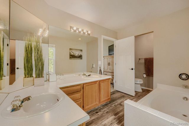 834 S Carlton Street, Castle Rock, CO 80104