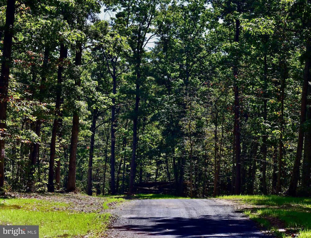 LOT 1 (128.556 ACRES) LAUREL GROVE RD, Winchester, VA 22602