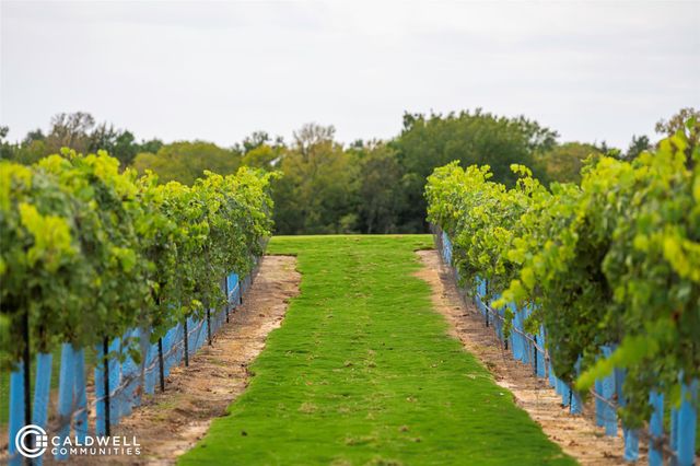 10155 Lehman Drive, Willis, TX 77318