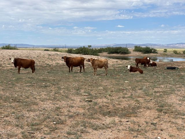 Greer Road, Belen, NM 87002