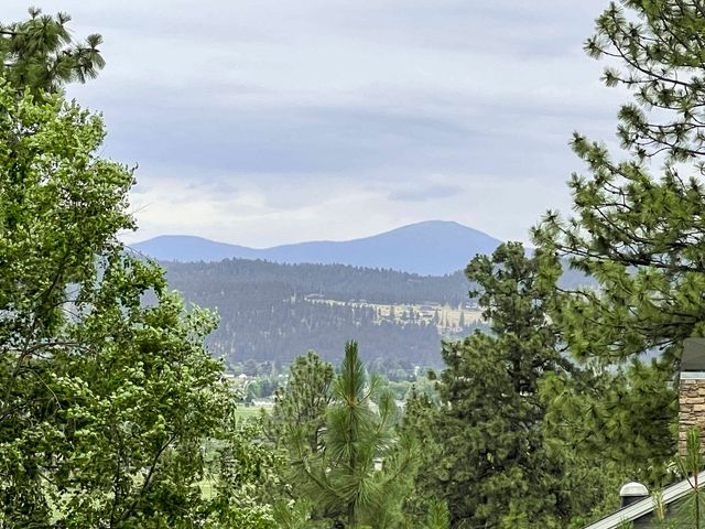 501 N Kennewick Ln, Liberty Lake, WA 99019