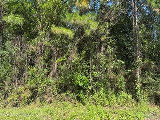 00 Schrader Court, Saucier, MS 39574