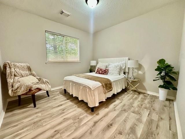 1119 Autumn Green Drive, Missouri City, TX 77459