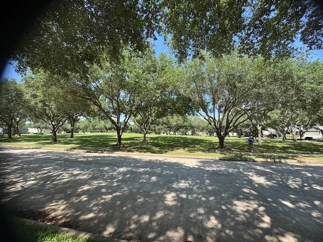 1119 Autumn Green Drive, Missouri City, TX 77459