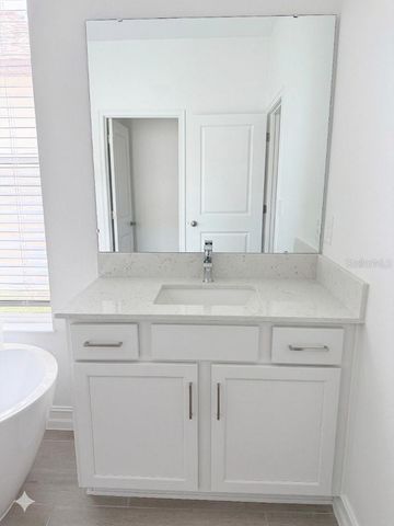 18378 SERENE LAKE LOOP, Lutz, FL 33548