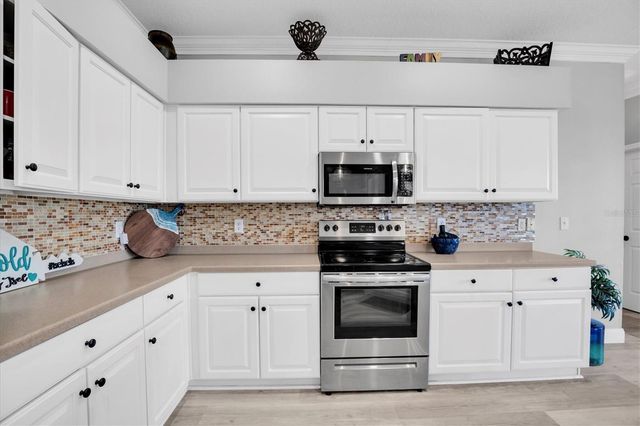 12511 ROYAL DUBLIN AVENUE, Odessa, FL 33556