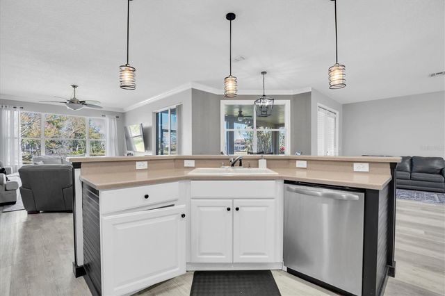 12511 ROYAL DUBLIN AVENUE, Odessa, FL 33556