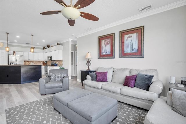 12511 ROYAL DUBLIN AVENUE, Odessa, FL 33556