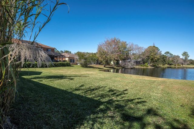 12511 ROYAL DUBLIN AVENUE, Odessa, FL 33556