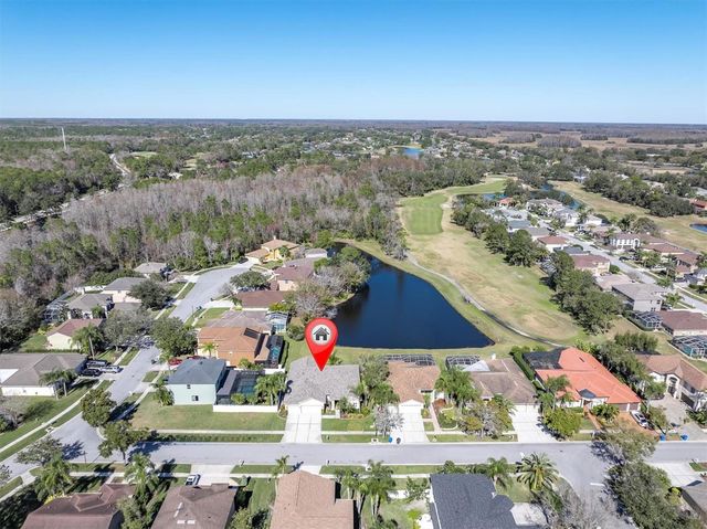 12511 ROYAL DUBLIN AVENUE, Odessa, FL 33556