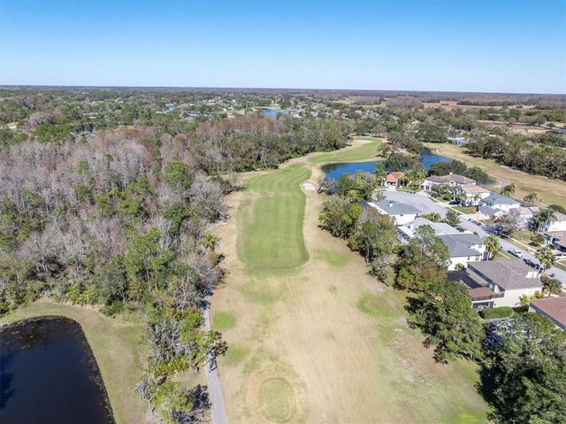 12511 ROYAL DUBLIN AVENUE, Odessa, FL 33556