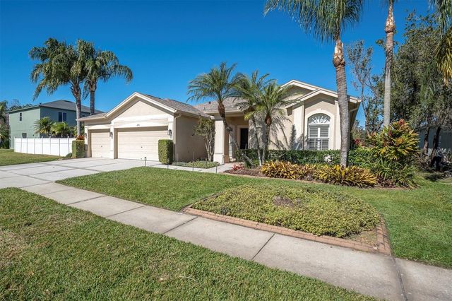 12511 ROYAL DUBLIN AVENUE, Odessa, FL 33556