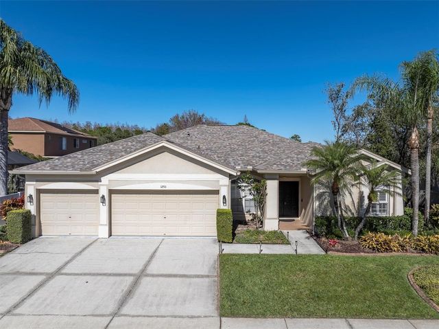 12511 ROYAL DUBLIN AVENUE, Odessa, FL 33556