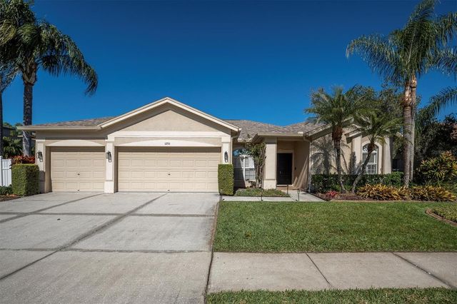 12511 ROYAL DUBLIN AVENUE, Odessa, FL 33556