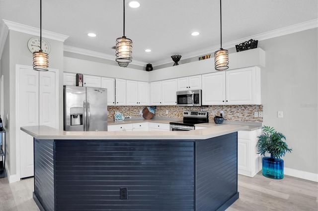 12511 ROYAL DUBLIN AVENUE, Odessa, FL 33556