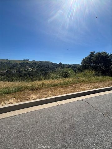 2105 Oak Canyon, Chino Hills, CA 91709