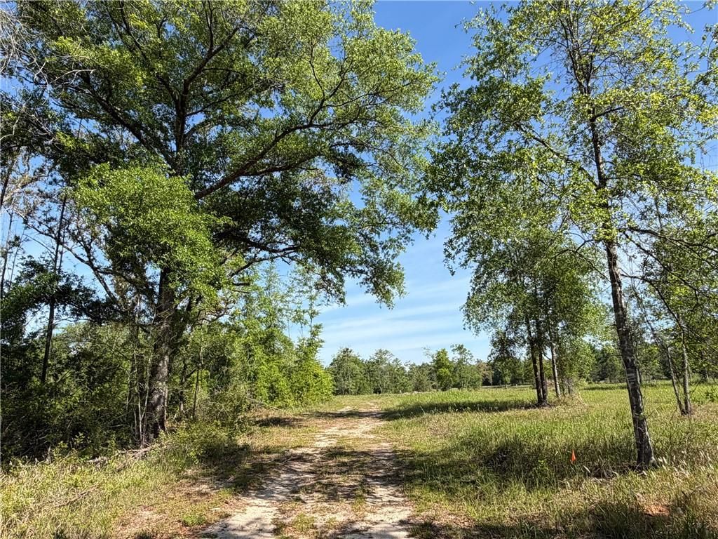 0 Sandy Creek Lane, Mobile, AL 36695 — exterior