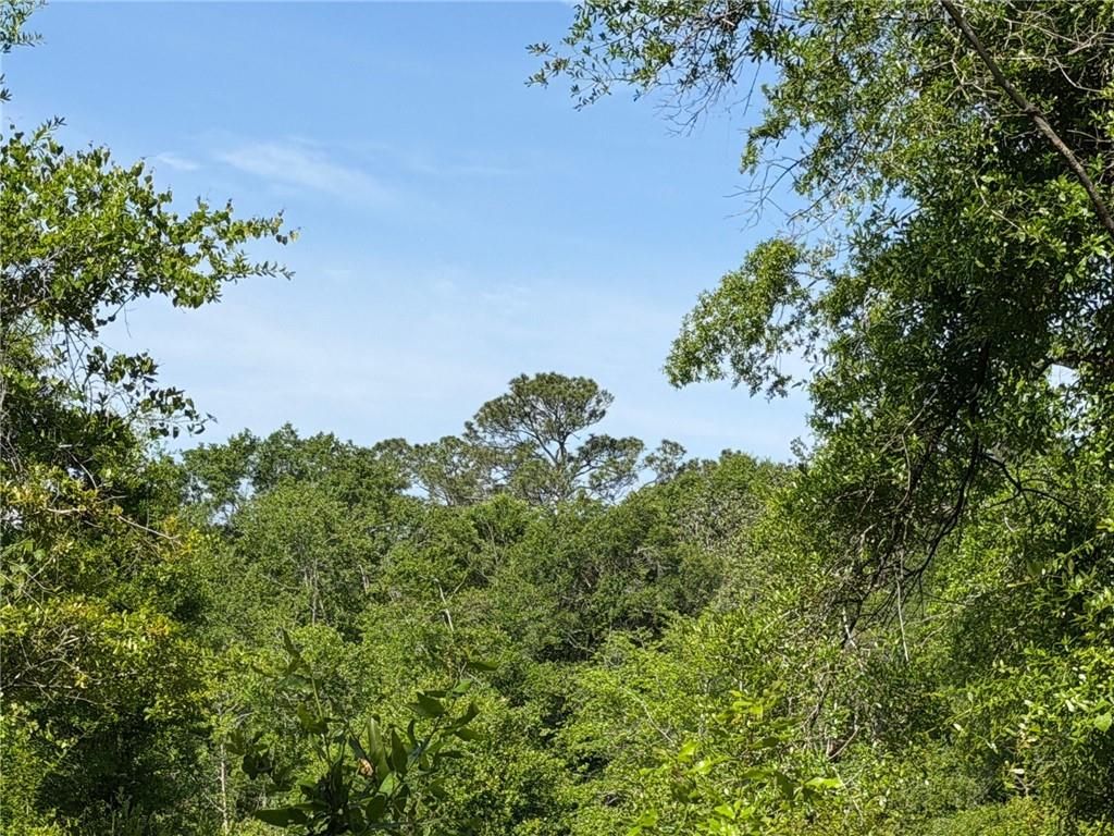 0 Sandy Creek Lane, Mobile, AL 36695 — photo 2