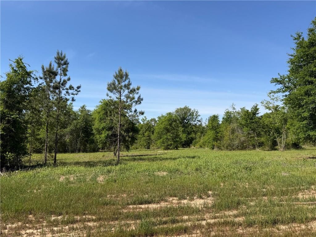 0 Sandy Creek Lane, Mobile, AL 36695 — photo 3