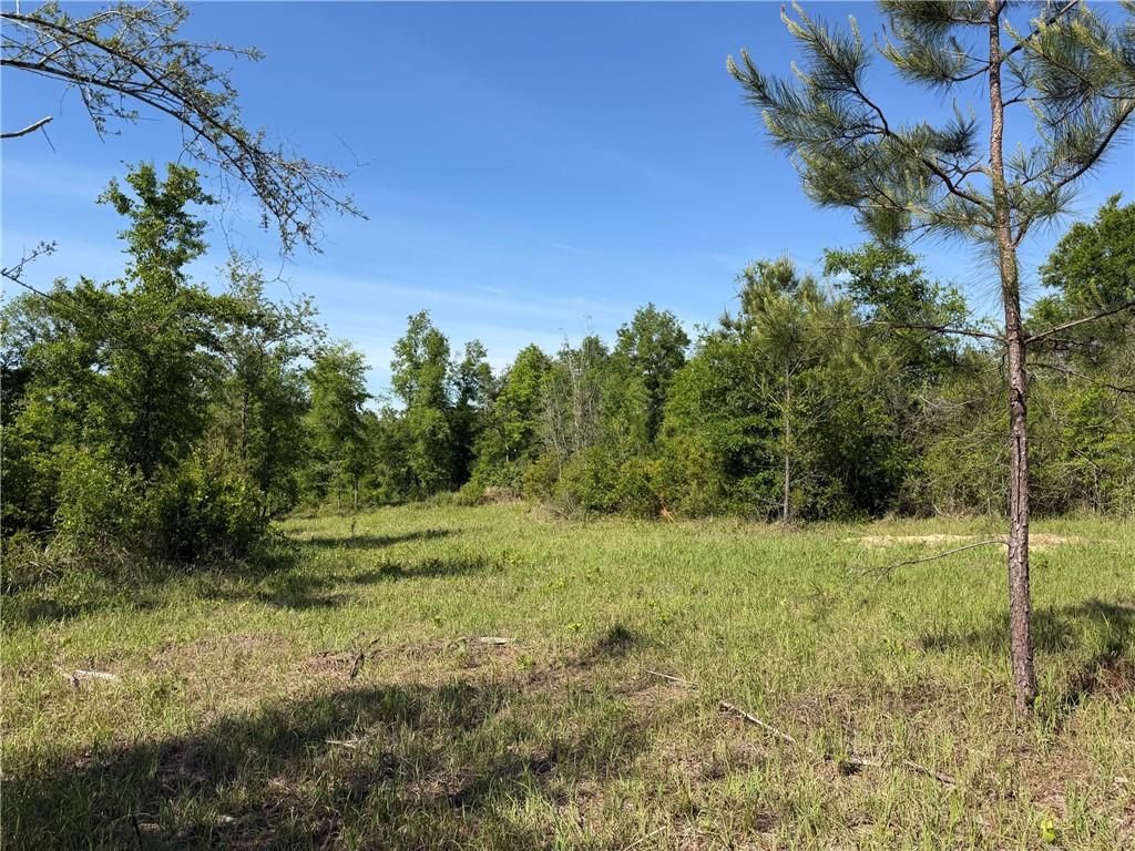 0 Sandy Creek Lane, Mobile, AL 36695 — photo 4