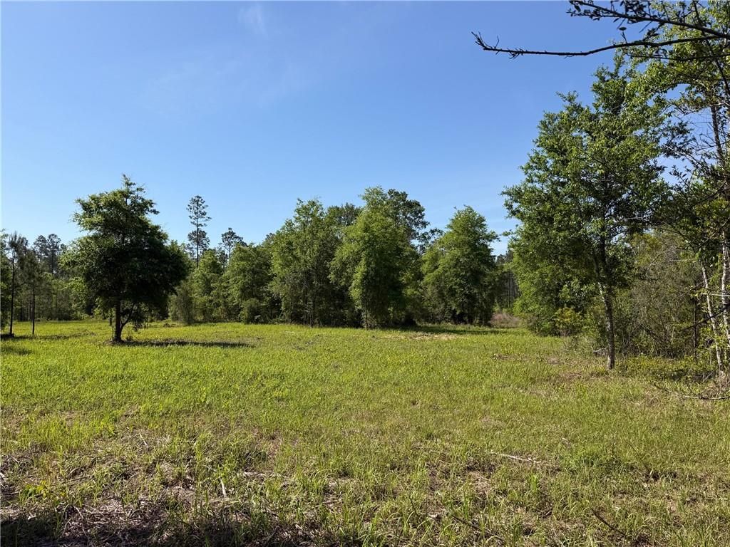 0 Sandy Creek Lane, Mobile, AL 36695 — photo 5