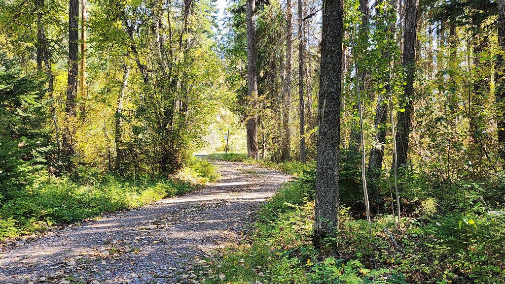 22703 MT Highway 83, Bigfork, MT 59911 photo 42