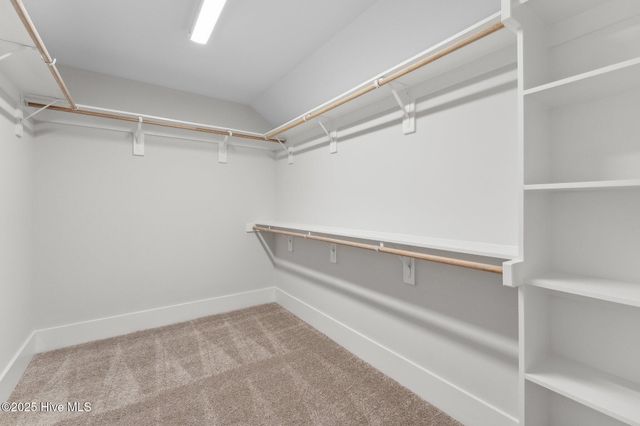 1017 Doe Place, Wilmington, NC 28409