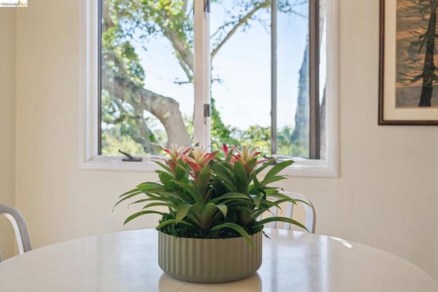 1698 La Loma Ave, Berkeley, CA 94709