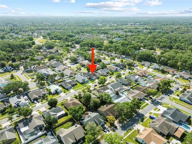 14916 ROCKY LEDGE DRIVE, Tampa, FL 33625