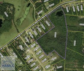 21.57 AC John Wells Road, Hinesville, GA 31313