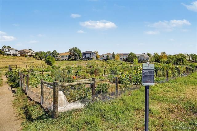 176 Whitehaven Circle, Highlands Ranch, CO 80129