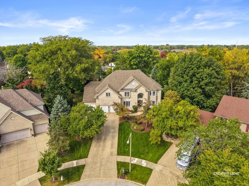 455 Flock Avenue, Naperville, IL 60565 — photo 3