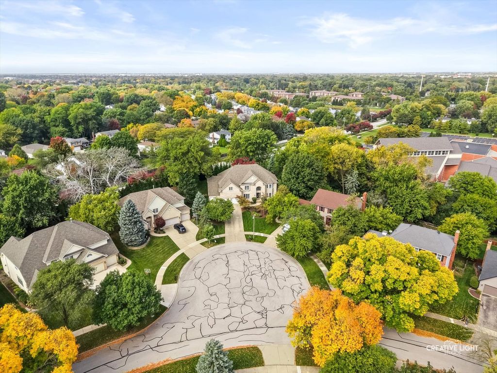 455 Flock Avenue, Naperville, IL 60565 — photo 4