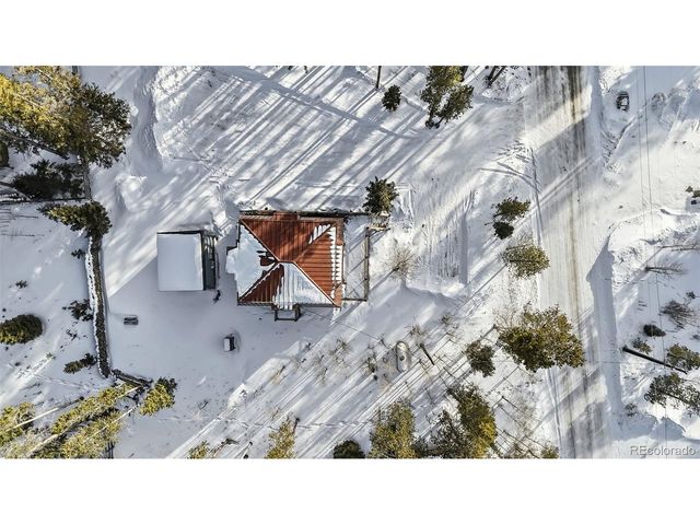 106 Protector Cir, Breckenridge, CO 80424