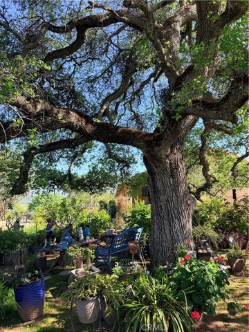 9556 Banderilla, La Grange, CA 95329