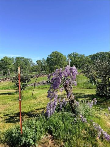 9556 Banderilla, La Grange, CA 95329