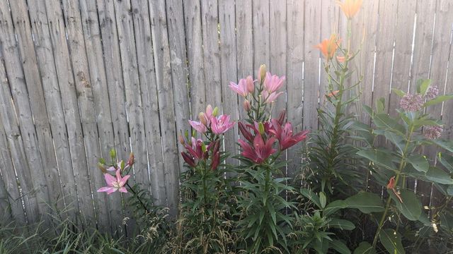 227 Eldred Street, Battle Creek, MI 49015