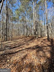 0 Cross Plains Hulett Road, Carrollton, GA 30116