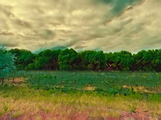 442 Los Pinos Road, Santa Fe, NM 87507