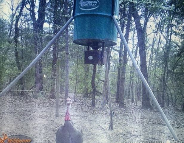 8910 Hwy 59 Highway, Athens, TX 75751