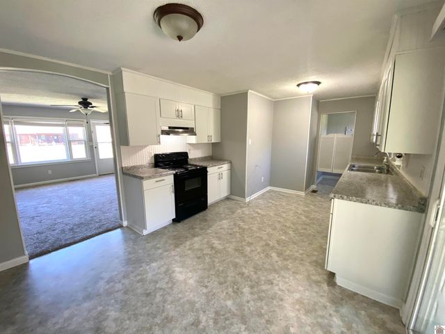 237 Anita Lane, Ledbetter, KY 42058