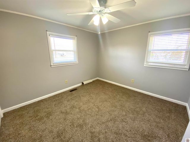 237 Anita Lane, Ledbetter, KY 42058