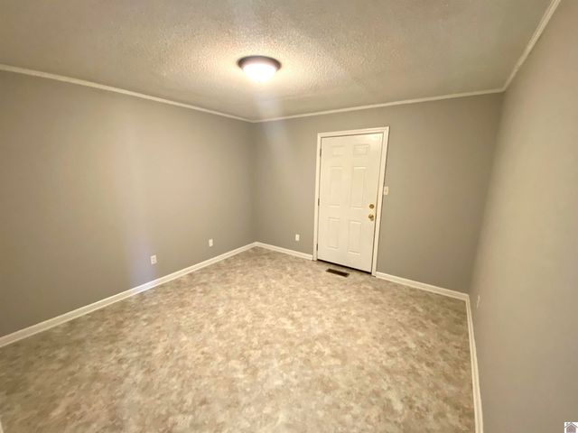 237 Anita Lane, Ledbetter, KY 42058