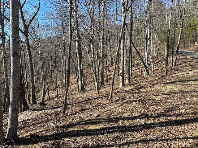 Lot 55 Asheland Cove, Young Harris, GA 30582